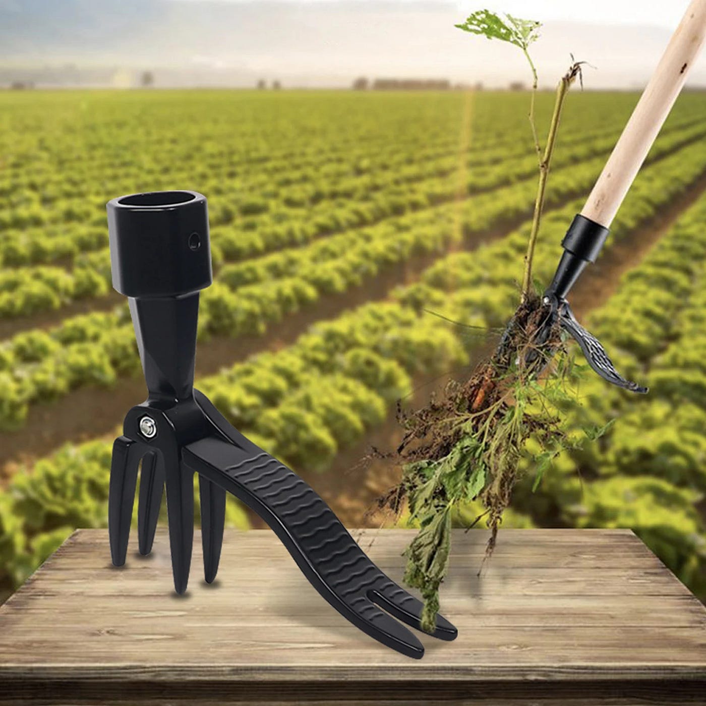 The Smart Way to Keep Your Garden Clean