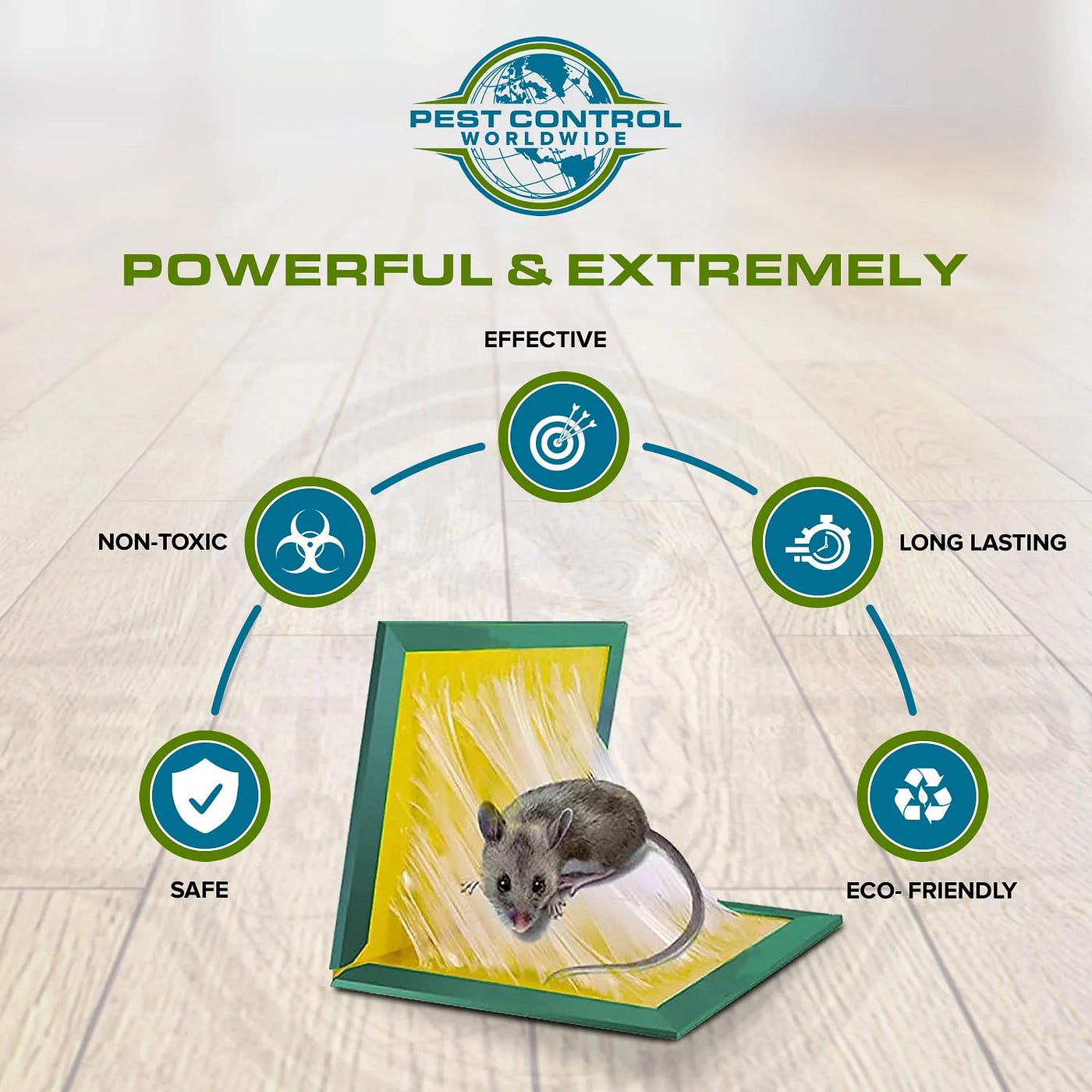 Why Aren't Mouse Traps Effective? Rodent Prevention Tips