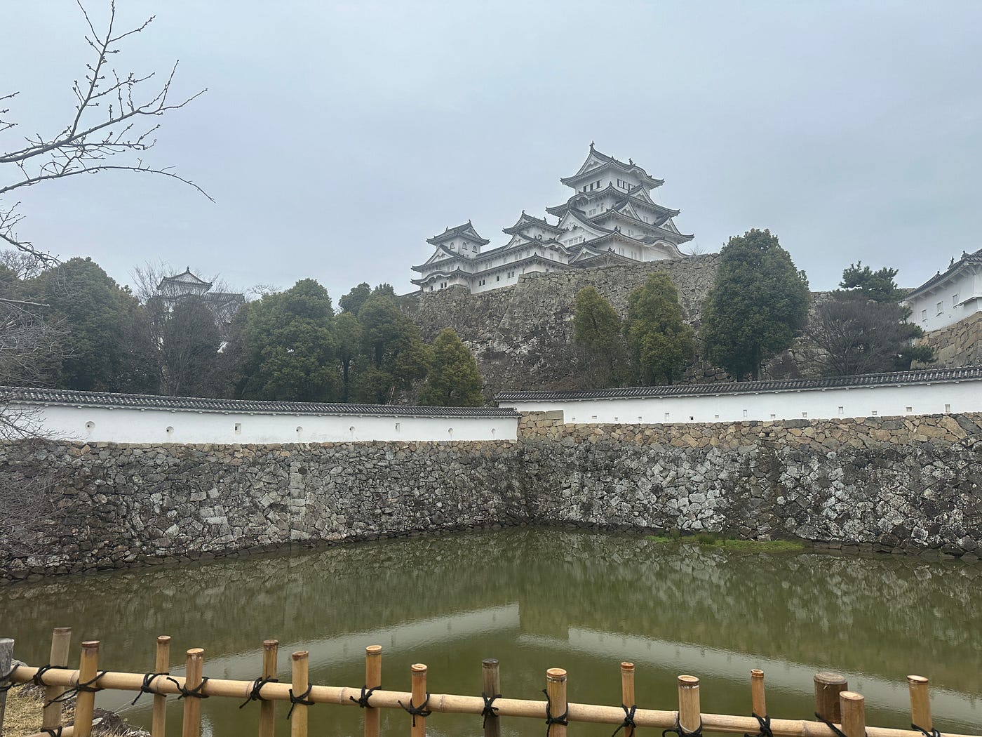 Koi (goldfish) competition and Himeji Castle