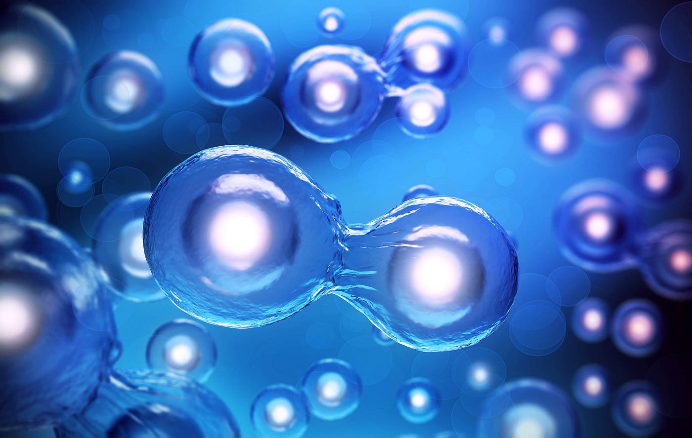 KMD Bioscience- Large T Antigen Immortalization