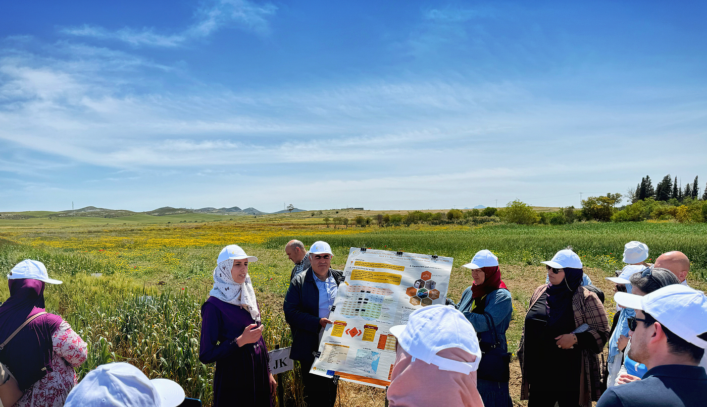 Enhancing Cereal Resilience and Global Food Security Through Innovation: The SEEDS Project and…
