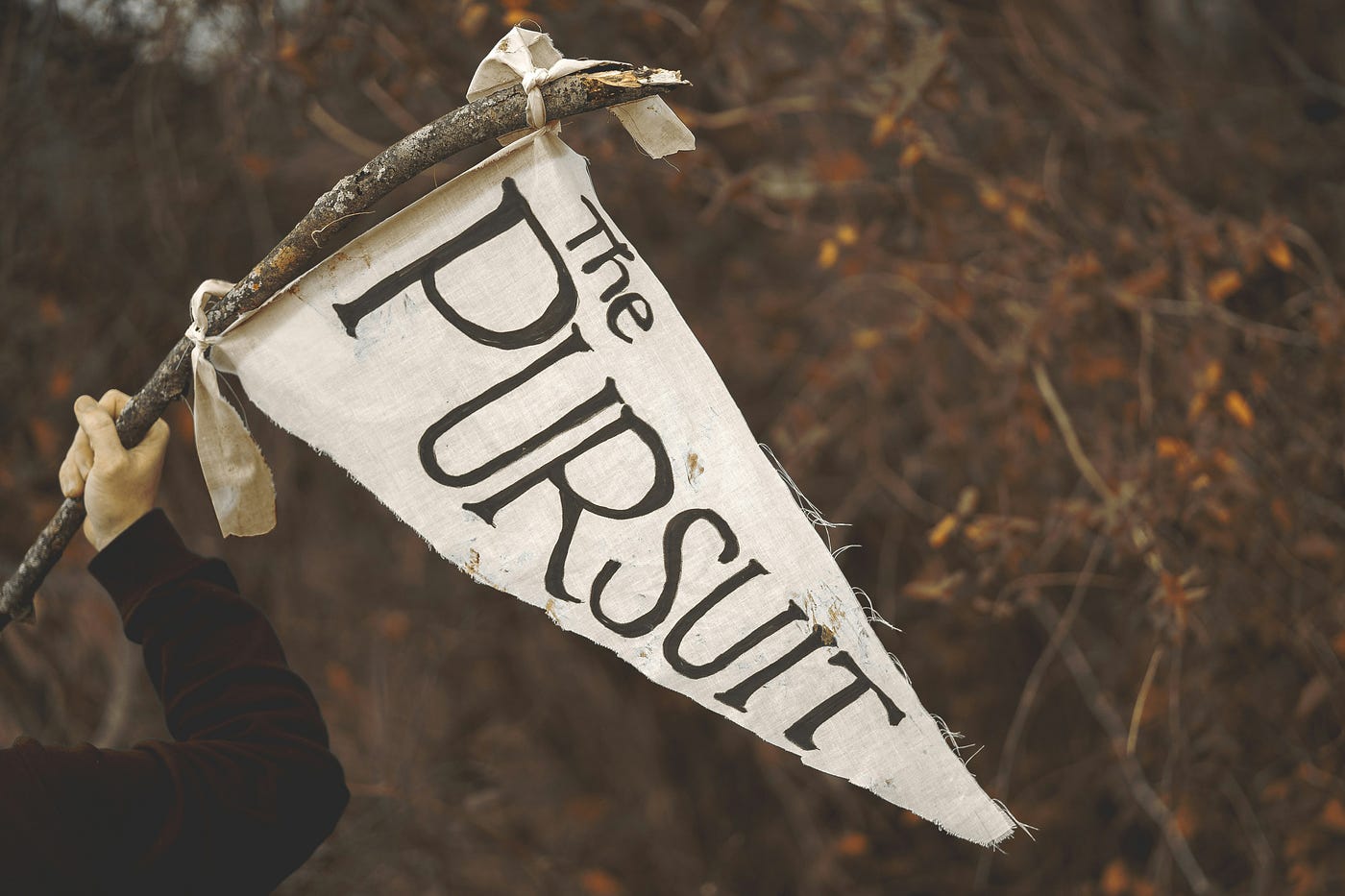 Holiness is a Pursuit