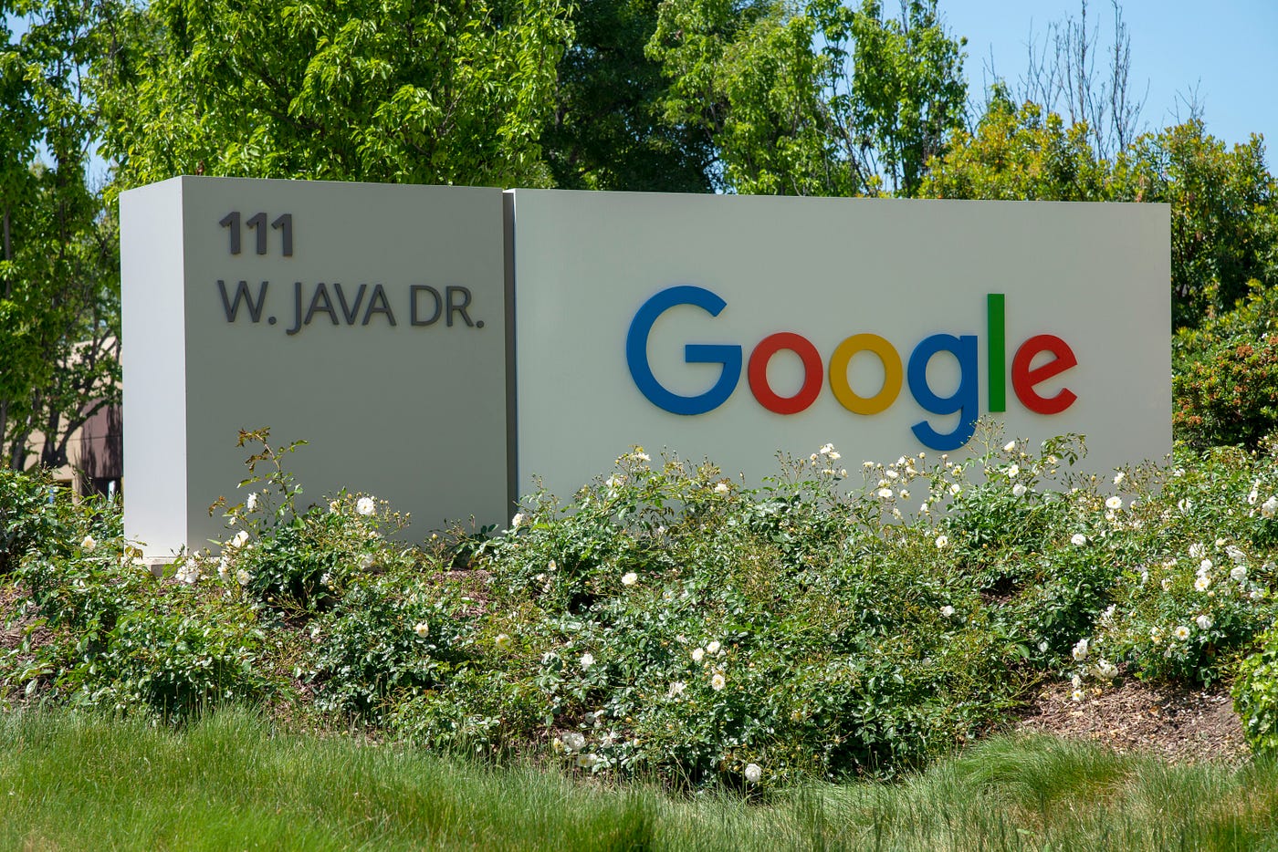 5 Reasons Why Google NotebookLM Is a Game-Changer fo Content Creators