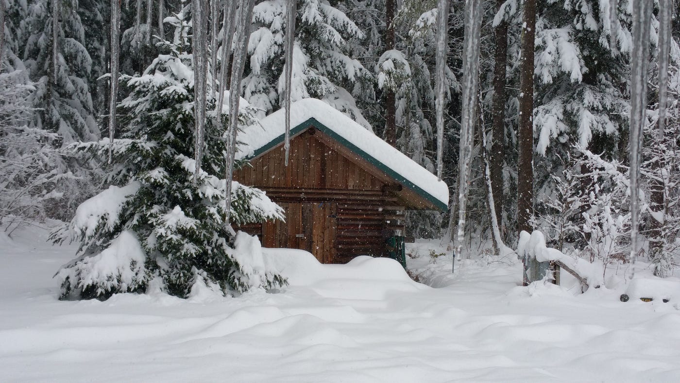 How Building a Log Cabin Led Me to Homesteading, Self-Reliance, and Prepping
