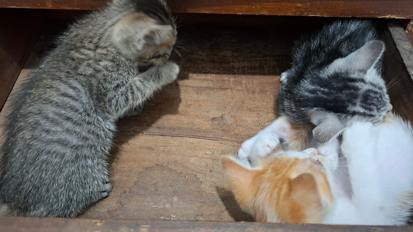 Gakpapa Berantakan, Gakpapa Kotor