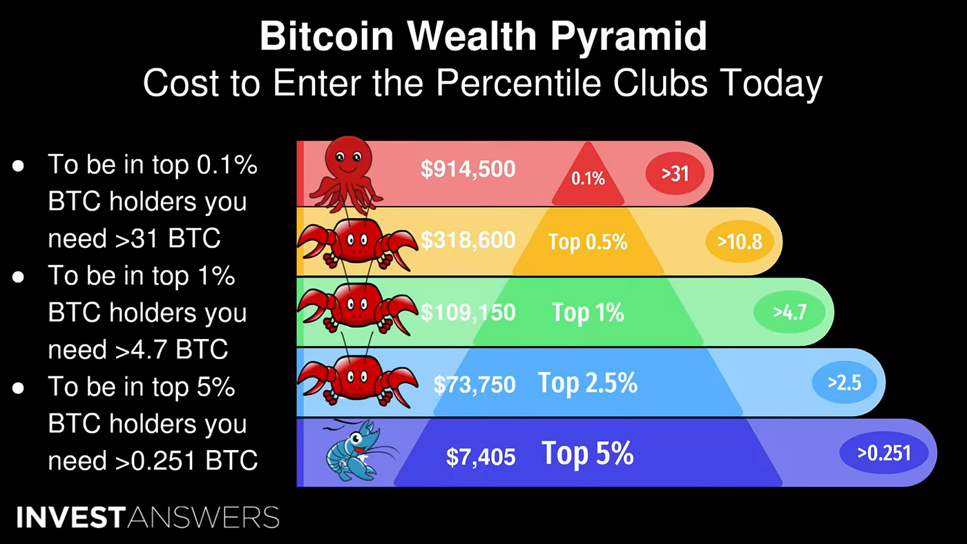 The Bitcoin Wealth Pyramid — How Much Money Do You Need to Join the Elite?  | by Pavle Marinkovic | DataDrivenInvestor