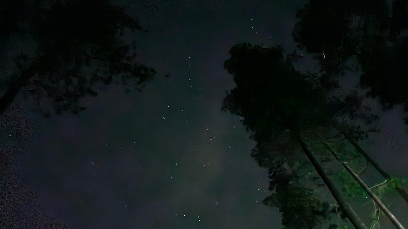 The stars were louder tonight