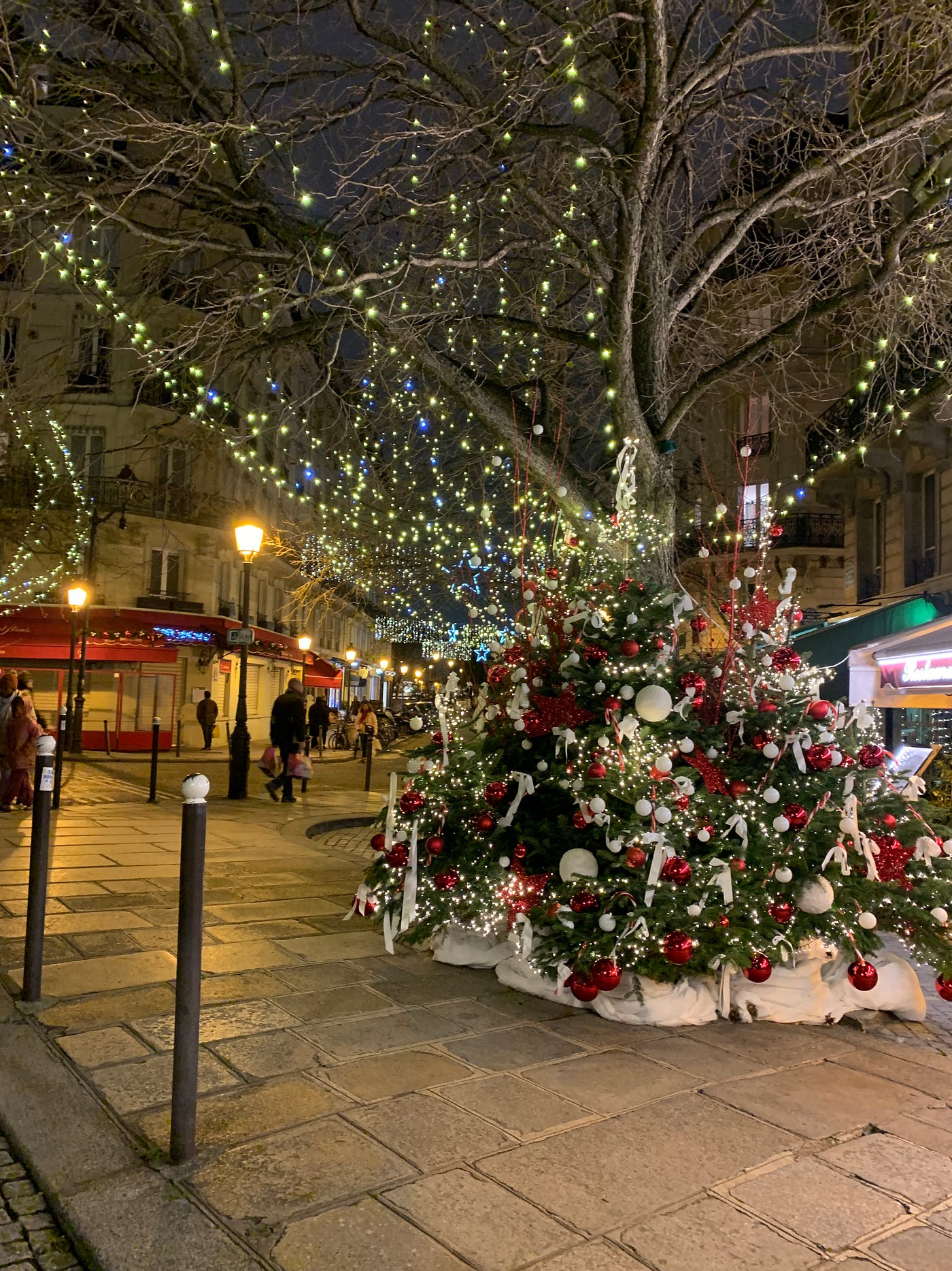 Reflections on a Paris Christmas Tree | by Tim Ward, Mature