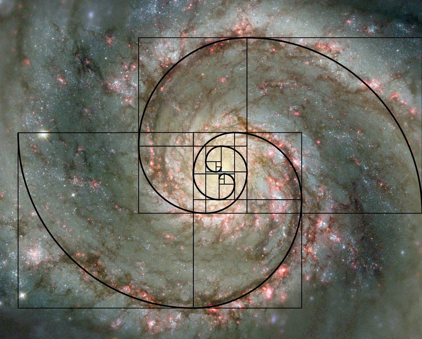 How to transfer ATOM to Keplr from Coinbase | by Golden Ratio Staking |  Medium