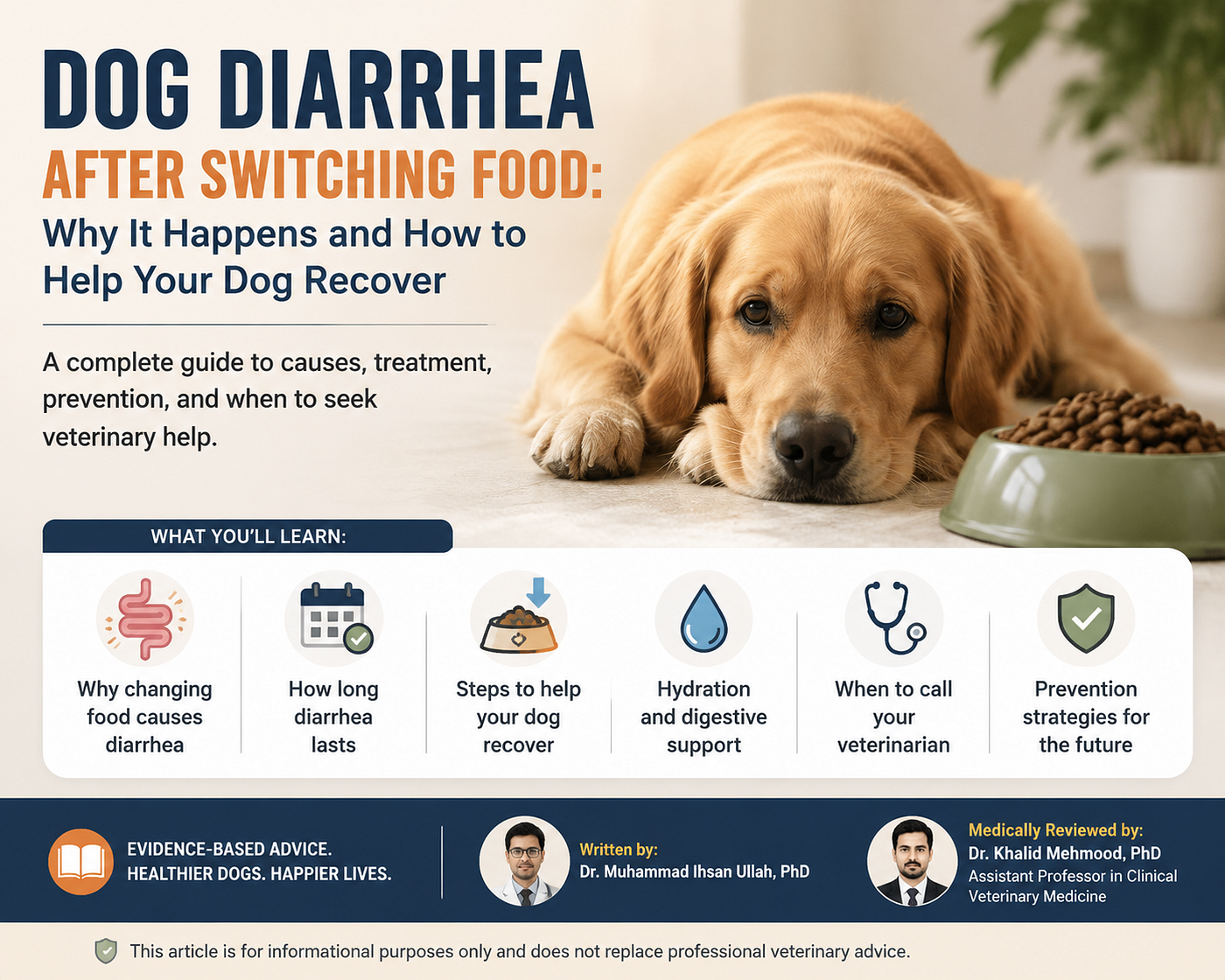 A veterinary infographic featuring a golden retriever resting beside a food bowl with the title…