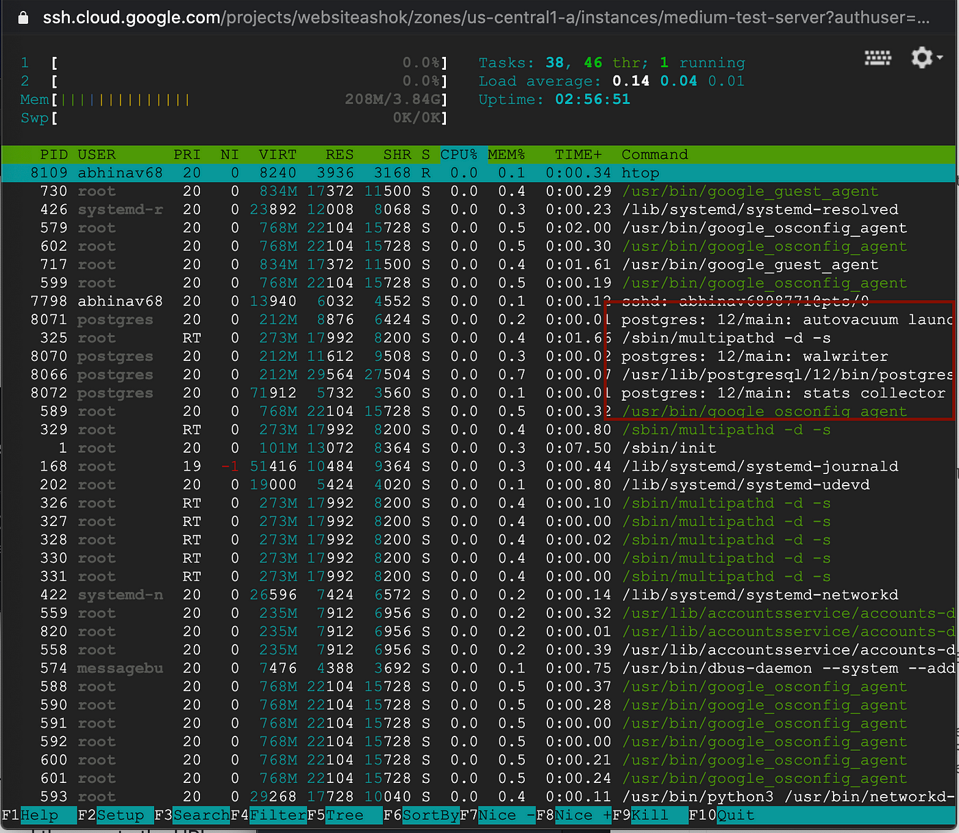 年末のプロモーション特価！ Guide Reference Introductory Web. the & Lisp to… Ashok by | コンピュータ・IT