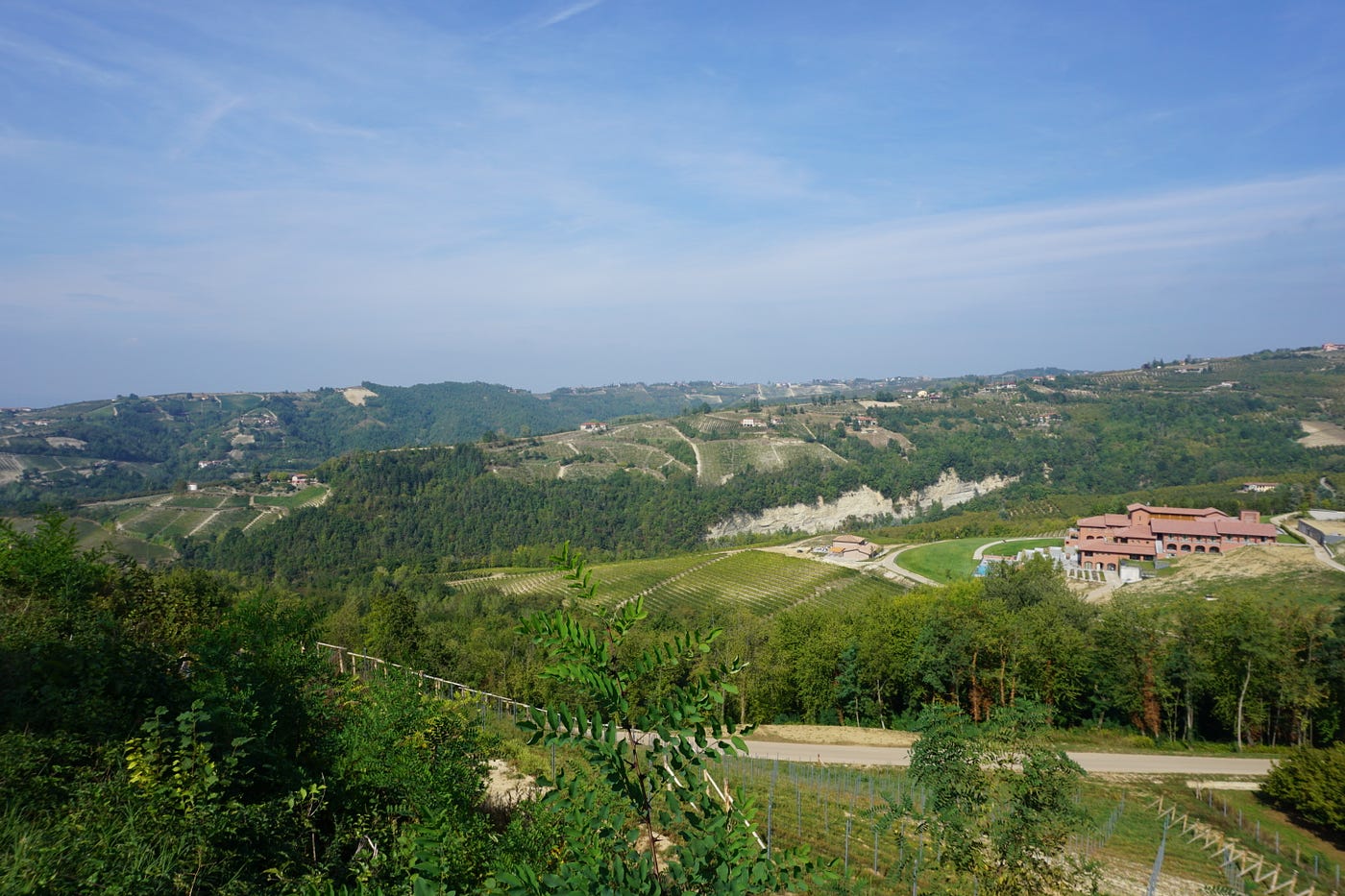 Views across the Casa di Langa estate, including the hotel, vineyards, and truffle forest