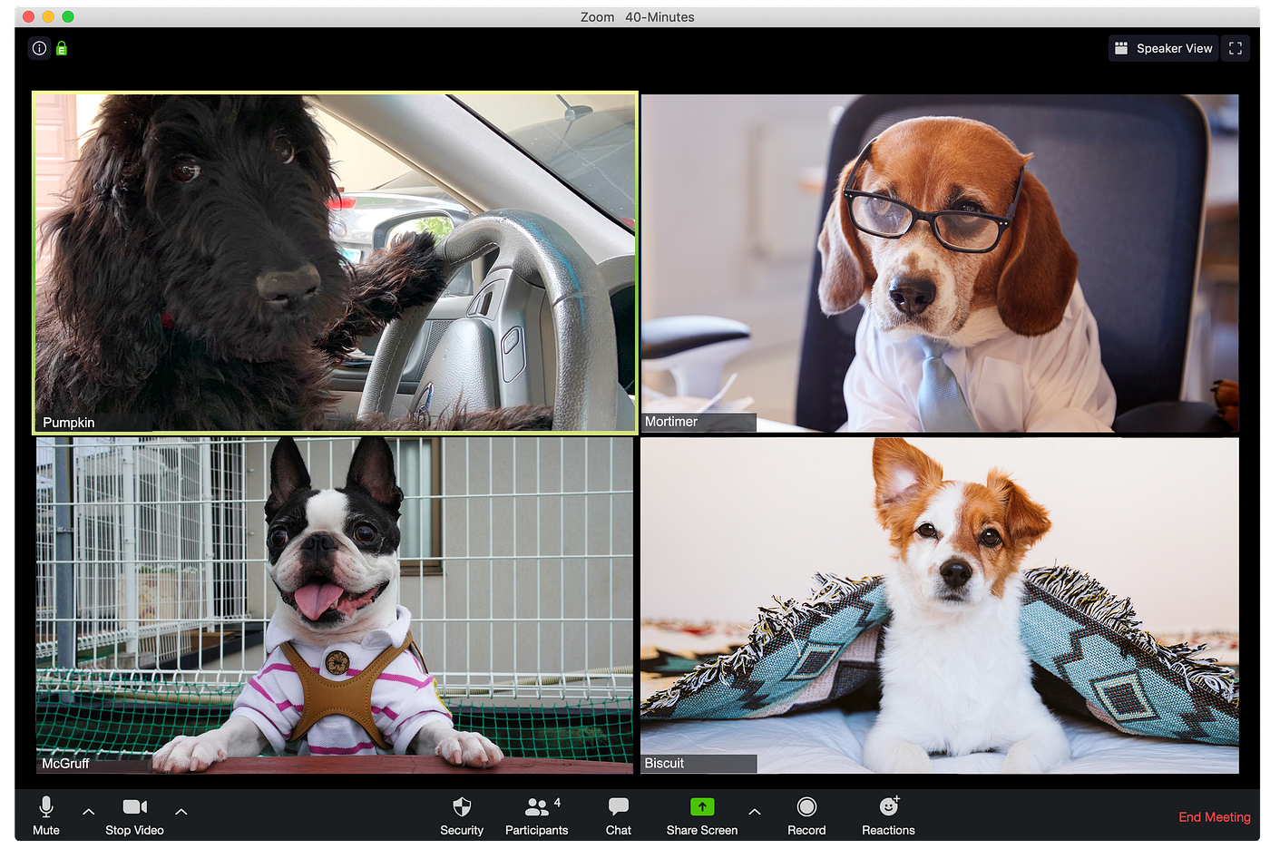Zoom Video Conference Funniest Zoom Fails Funny Zoom Meeting Funny