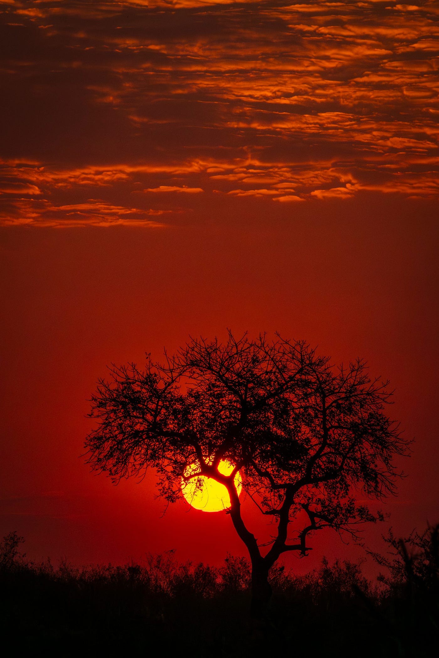 Photo by Vivienne Murray on Unsplash