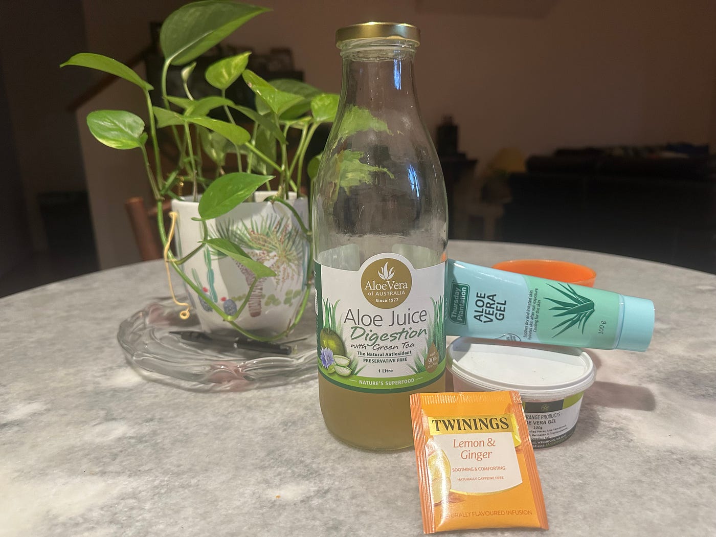 Aloe Vera: A Cure for Reflux or A Modern Hype? | Mid-Knight Falls