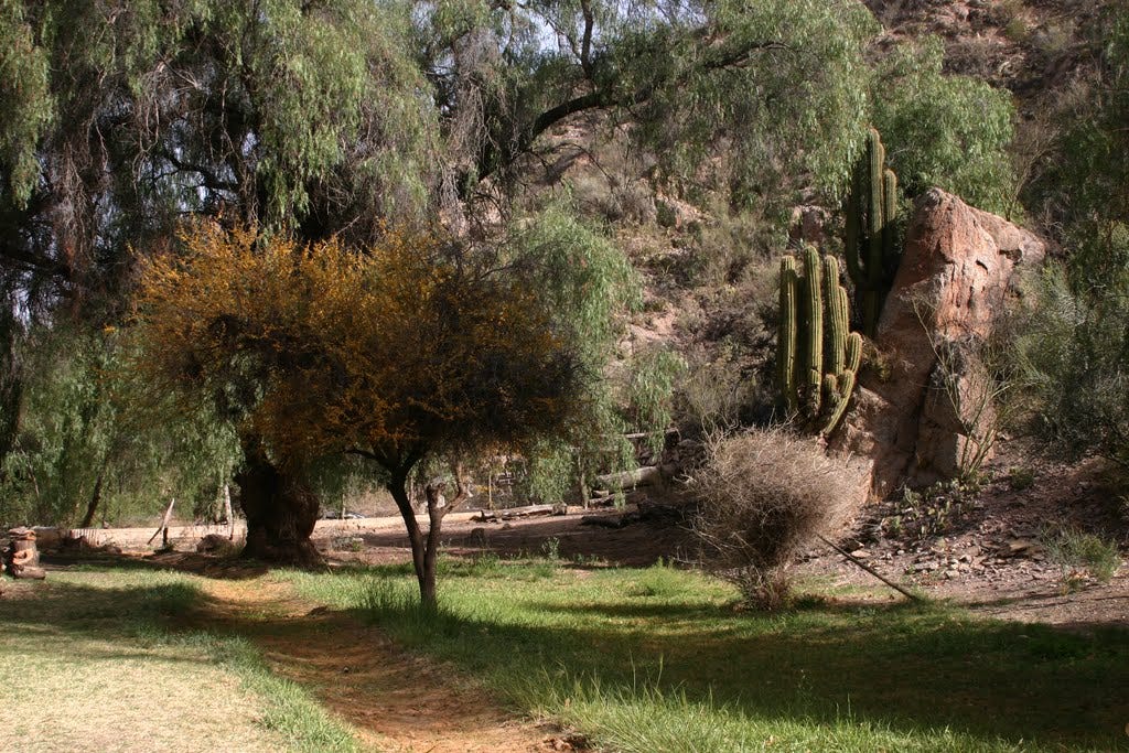 Samay Huasi. El oasis de descanso de Joaquín V. González en Chilecito.