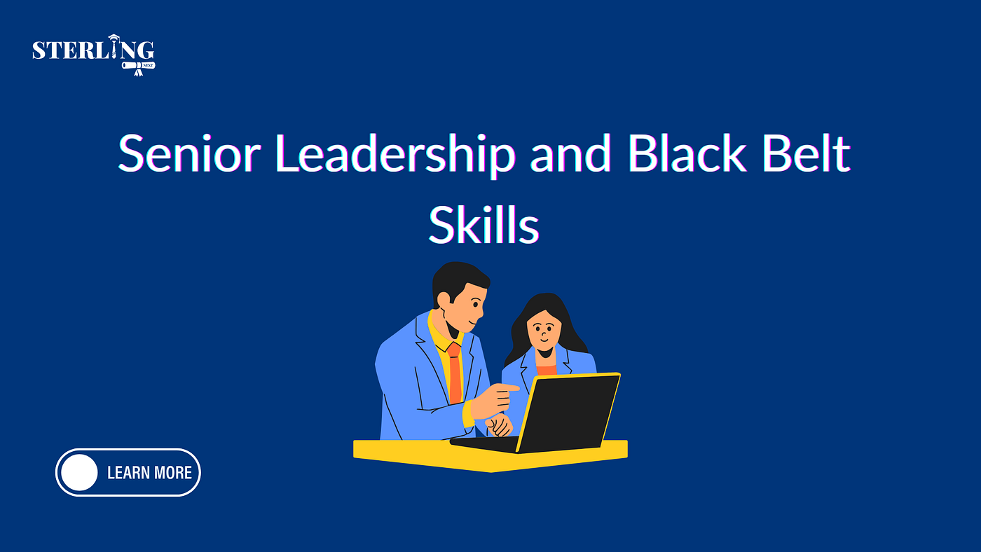 Is Lean Six Sigma Black Belt certification worth it for senior professionals