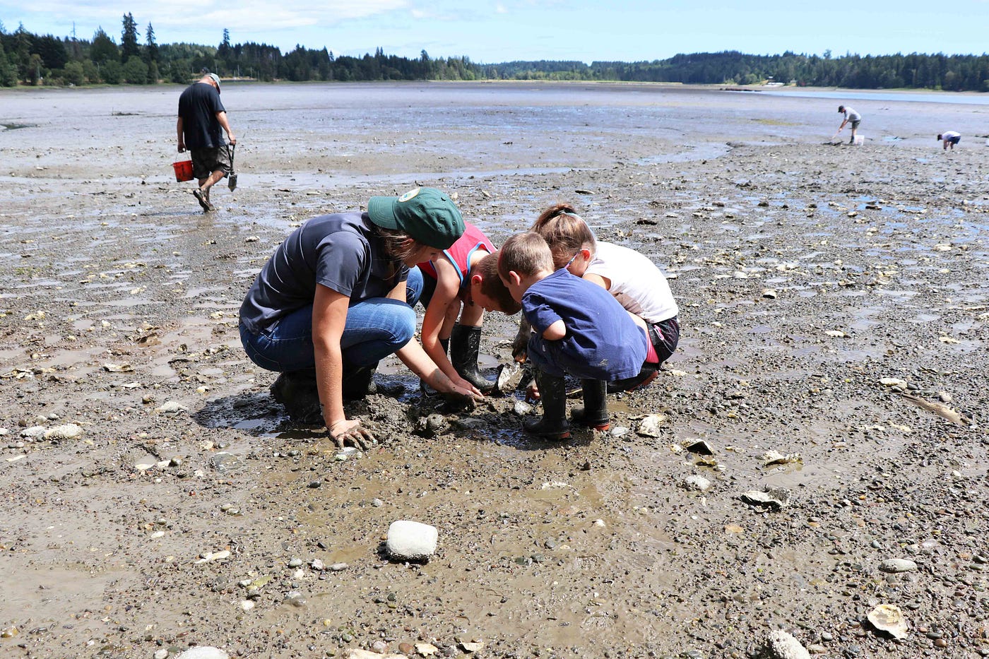 Memorable razor clam digging season wraps up with a record harvest