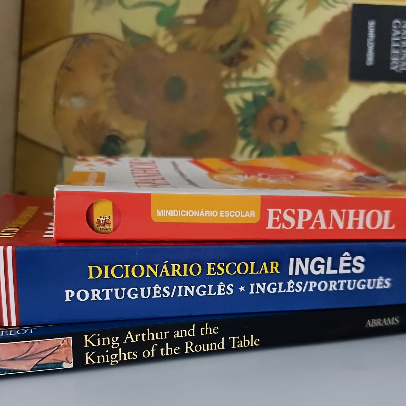 Entre idiomas, histórias e descobertas: por que escolhi ser poliglota