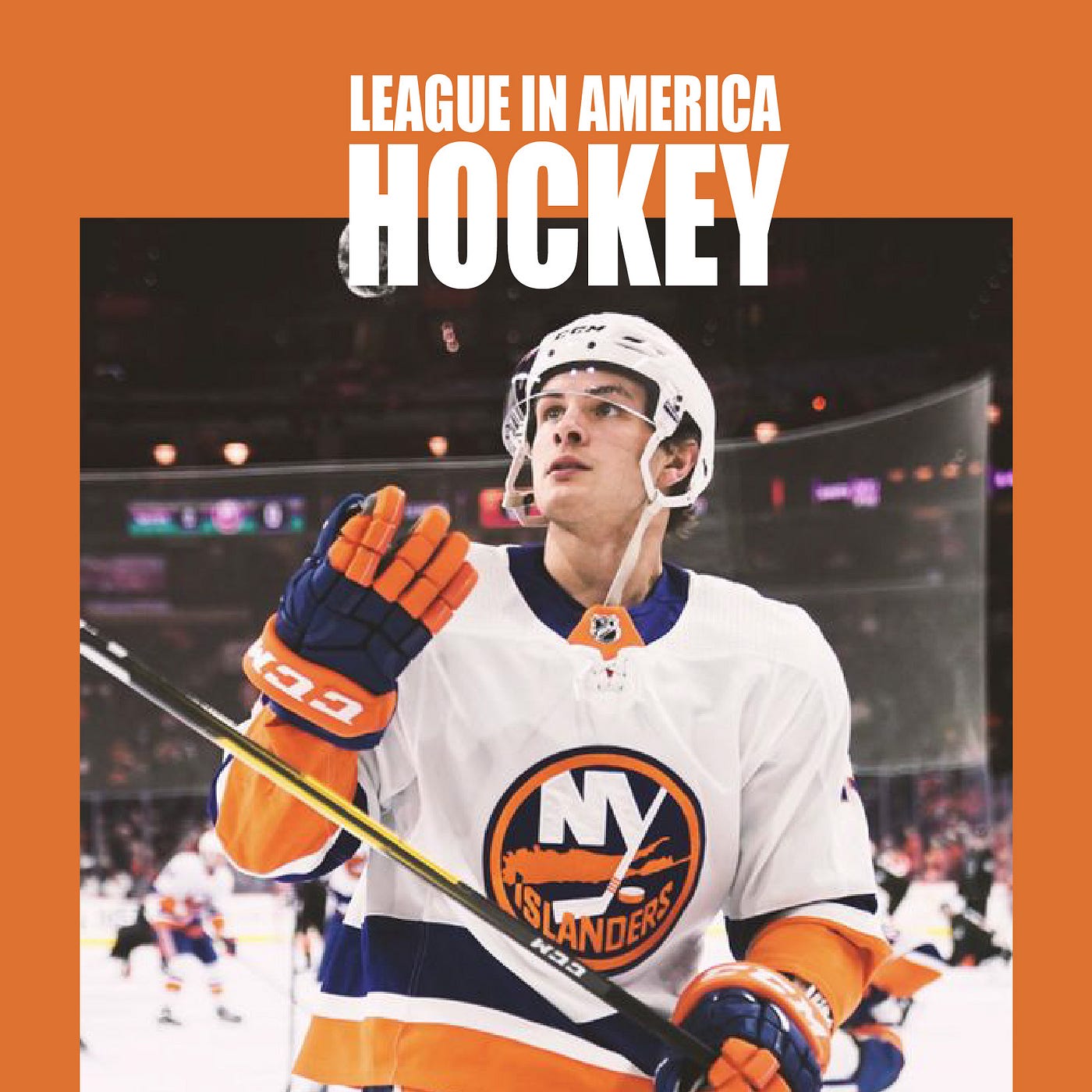 GATE 帶你認識美國運動職業聯盟－美國冰球Hockey in the U.S. | by GATE Sports Agency | Medium