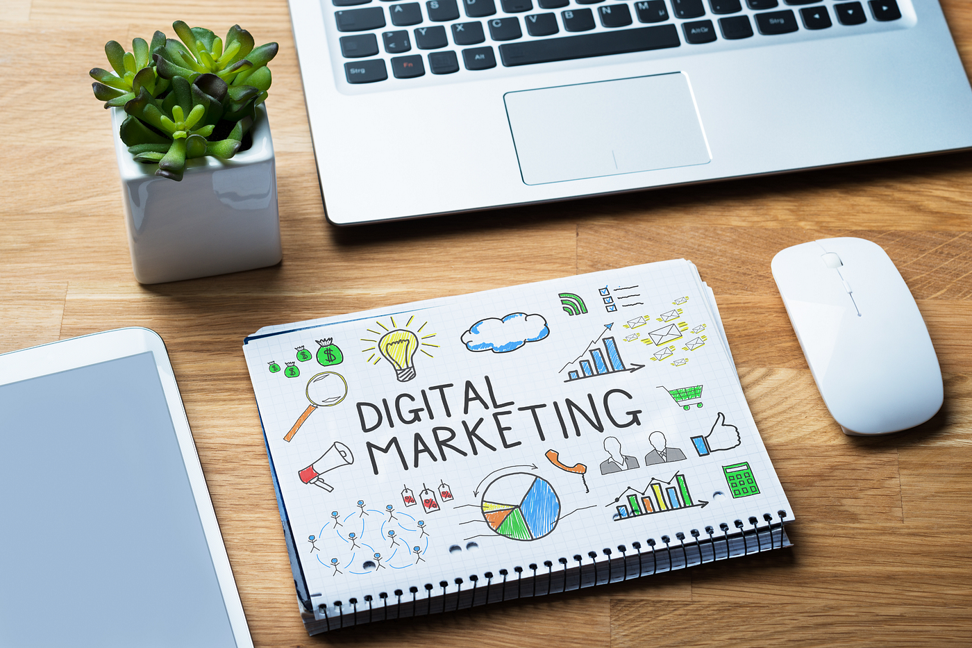 Why Is Zoople Technologies Considered the Best Digital Marketing Training Institute in Kochi?