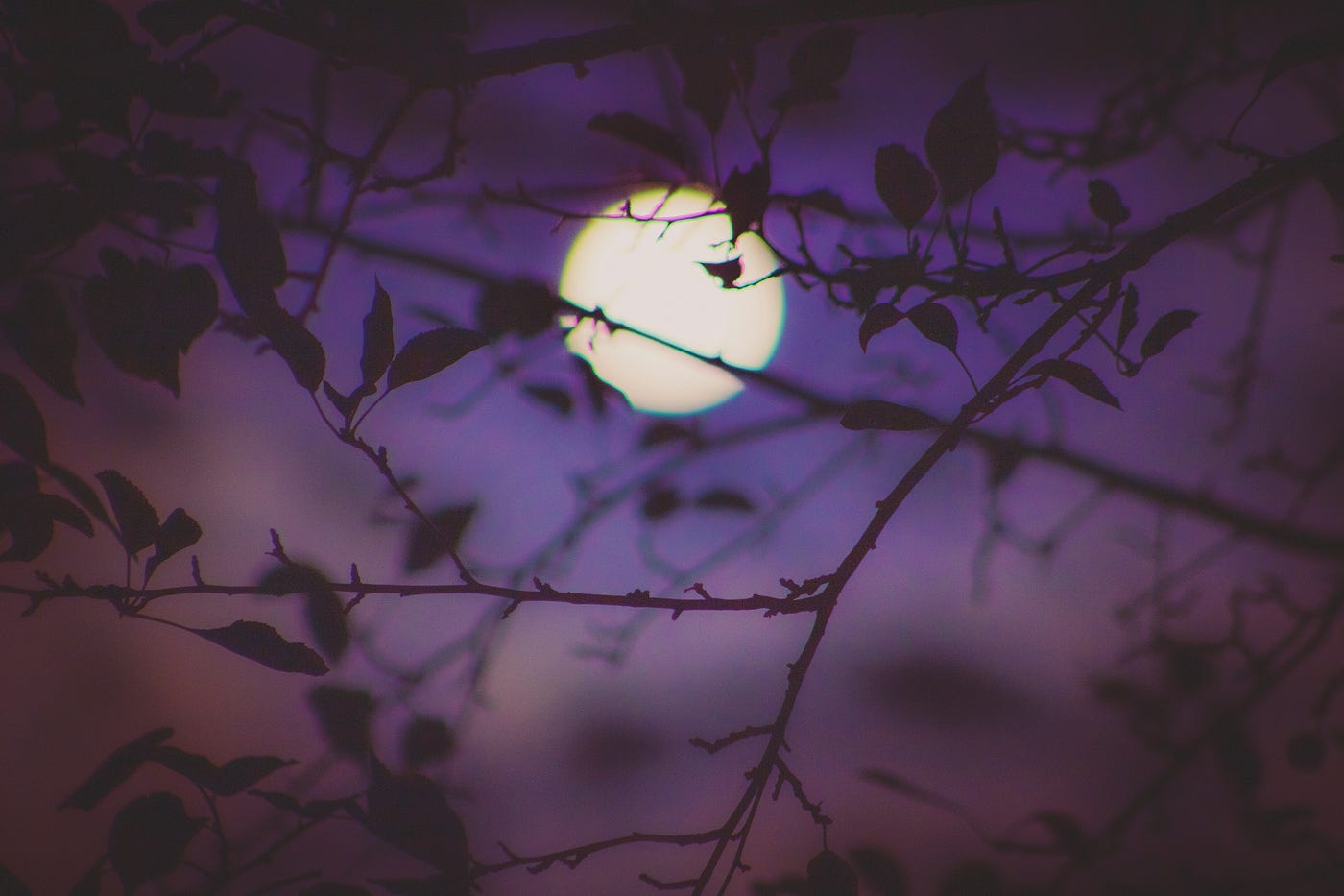 Can We Dream the Same Dream?