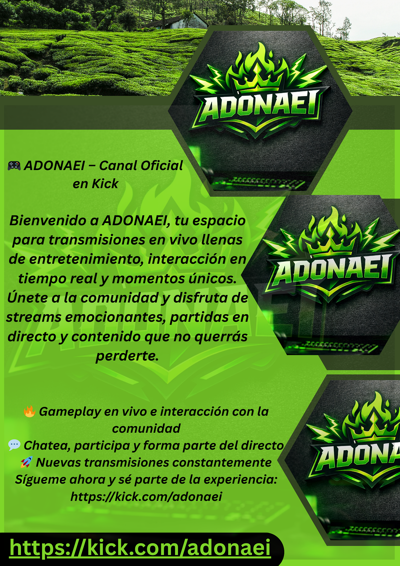 Si estás buscando contenido en vivo fresco y entretenido, Adonaei en Kick es un nombre que debes…