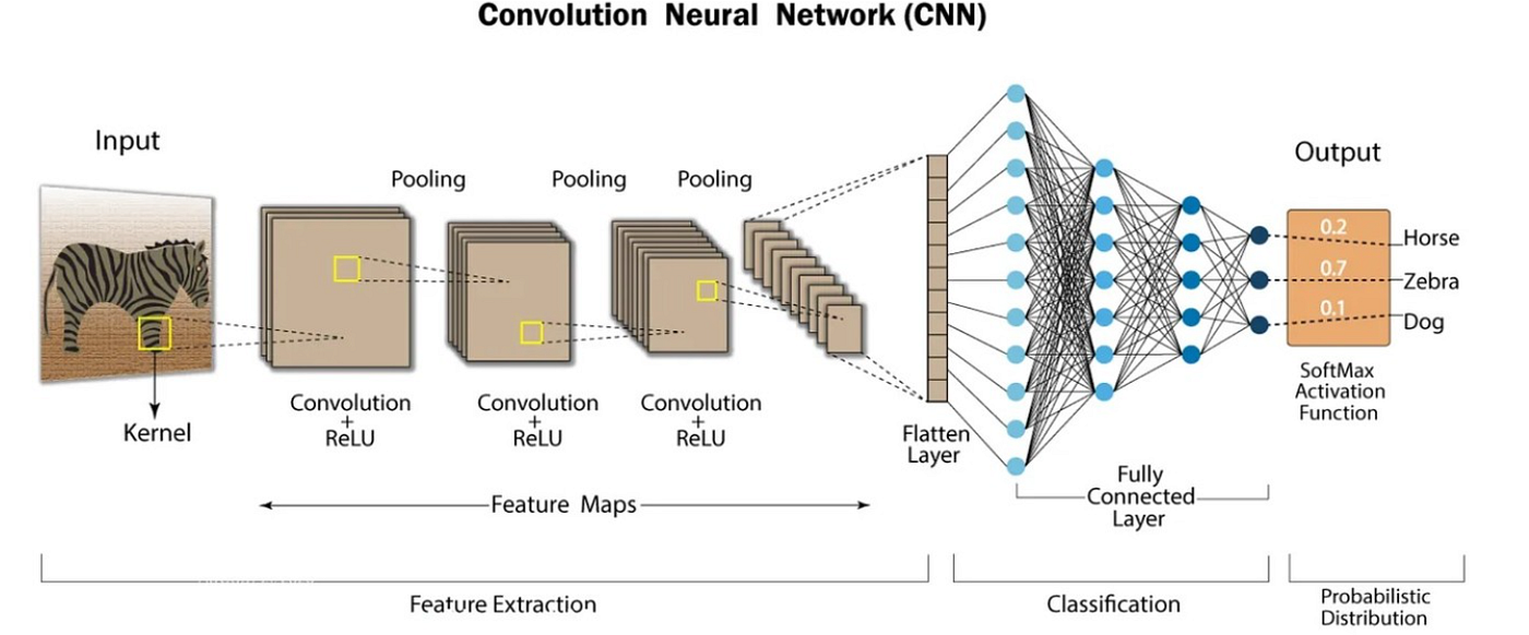 Convolutional Neural Networks (CNNs)