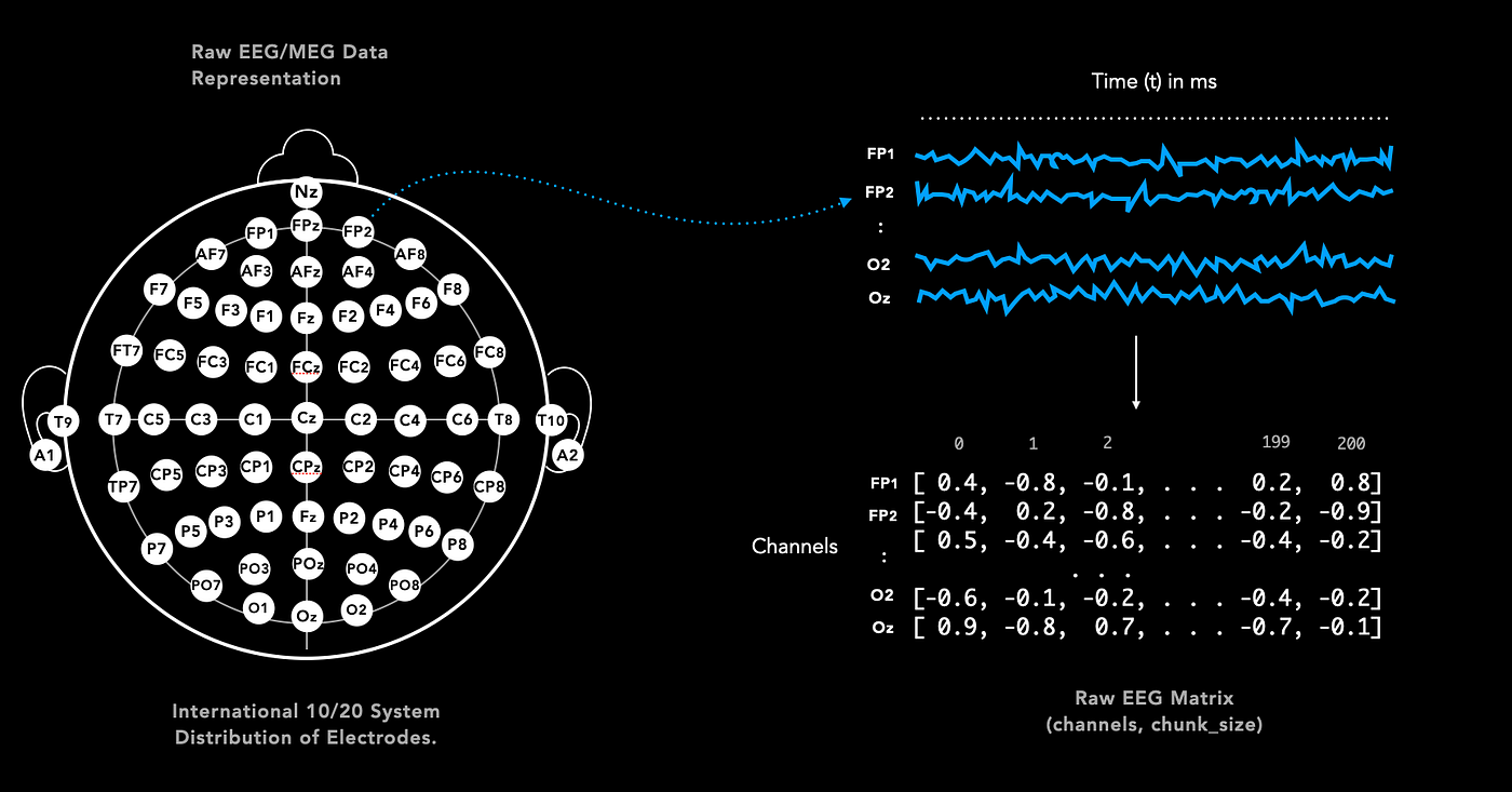 Understanding EEG/ MEG Brain Data for Deep Learning | by Frederik