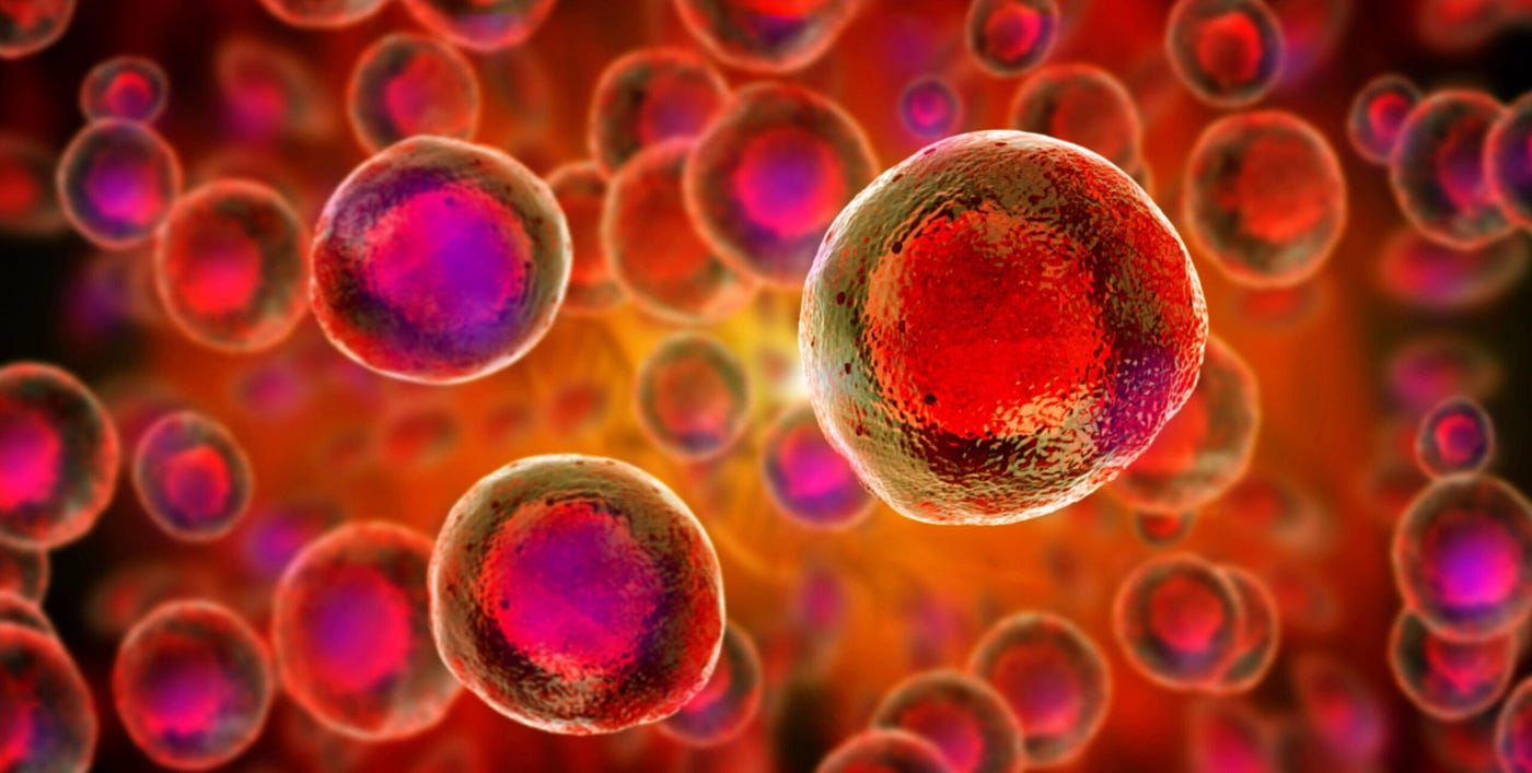 Multi-Modality vs. Single-Injection: Understanding Different Stem Cell Treatment Approaches