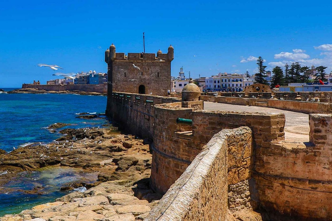 The Ultimate Traveler’s Guide to Morocco