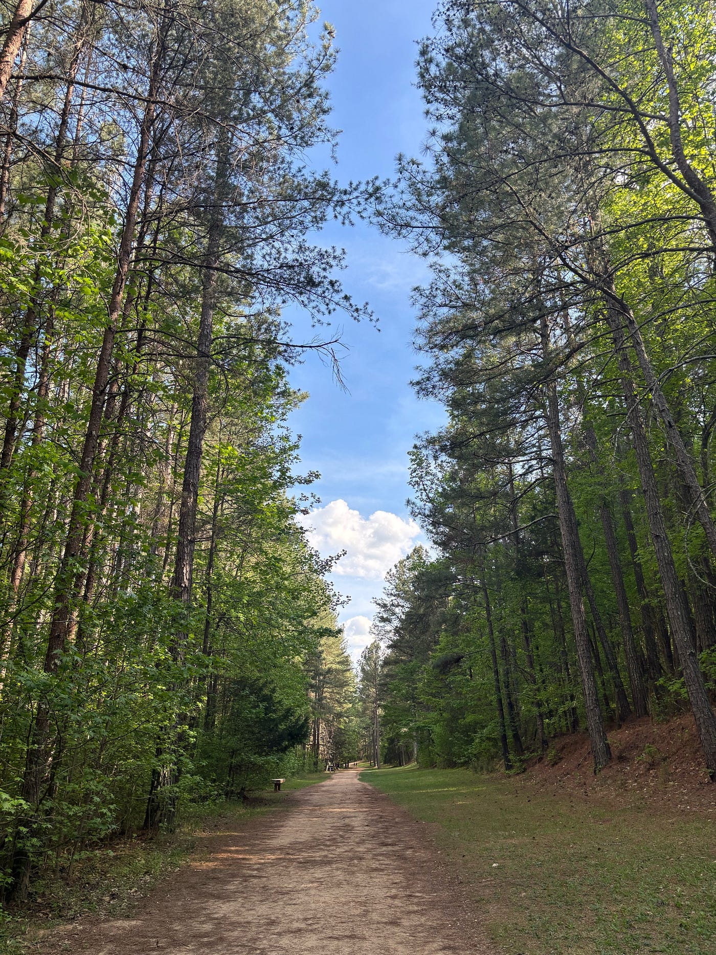 My survival manual – (photo by the author)