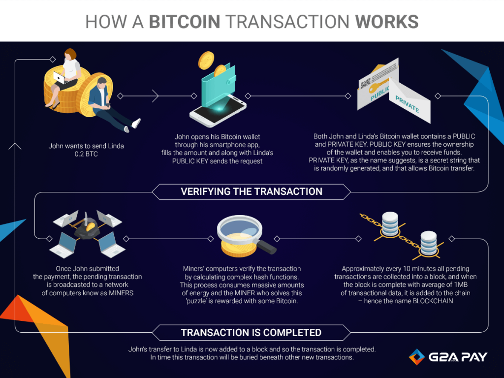 Bitcoin for Dummies. ¿Qué es el Bitcoin? Es dinero digital… | by Biscay Bay  Startup Campus | #BBSC Blog | Medium