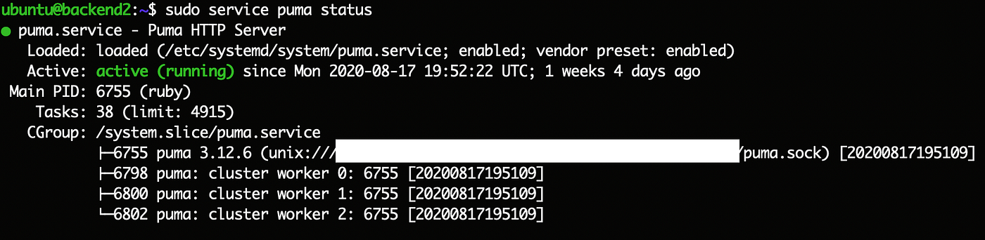 Setting up Puma as Systemd service in Ubuntu 18 | by David Mauricio | Medium