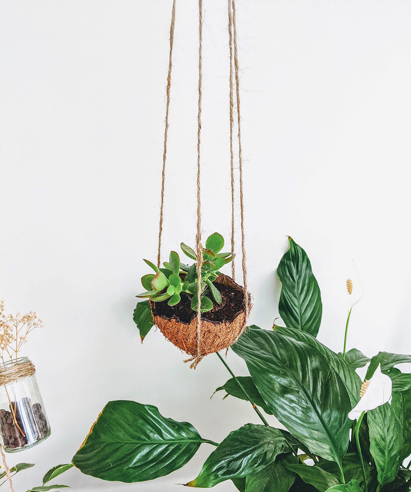 Easy, Cheap, and DIY-able Coconut Shell Planters, by Barbulianno Design