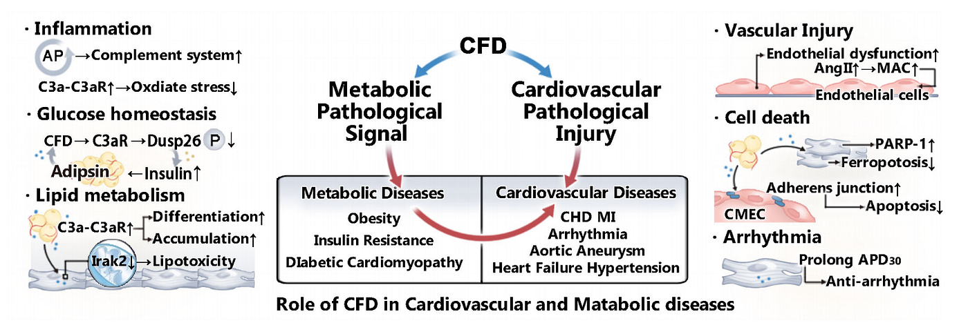 (Data source: Kong Y, et al. Front Immunol. 2024)