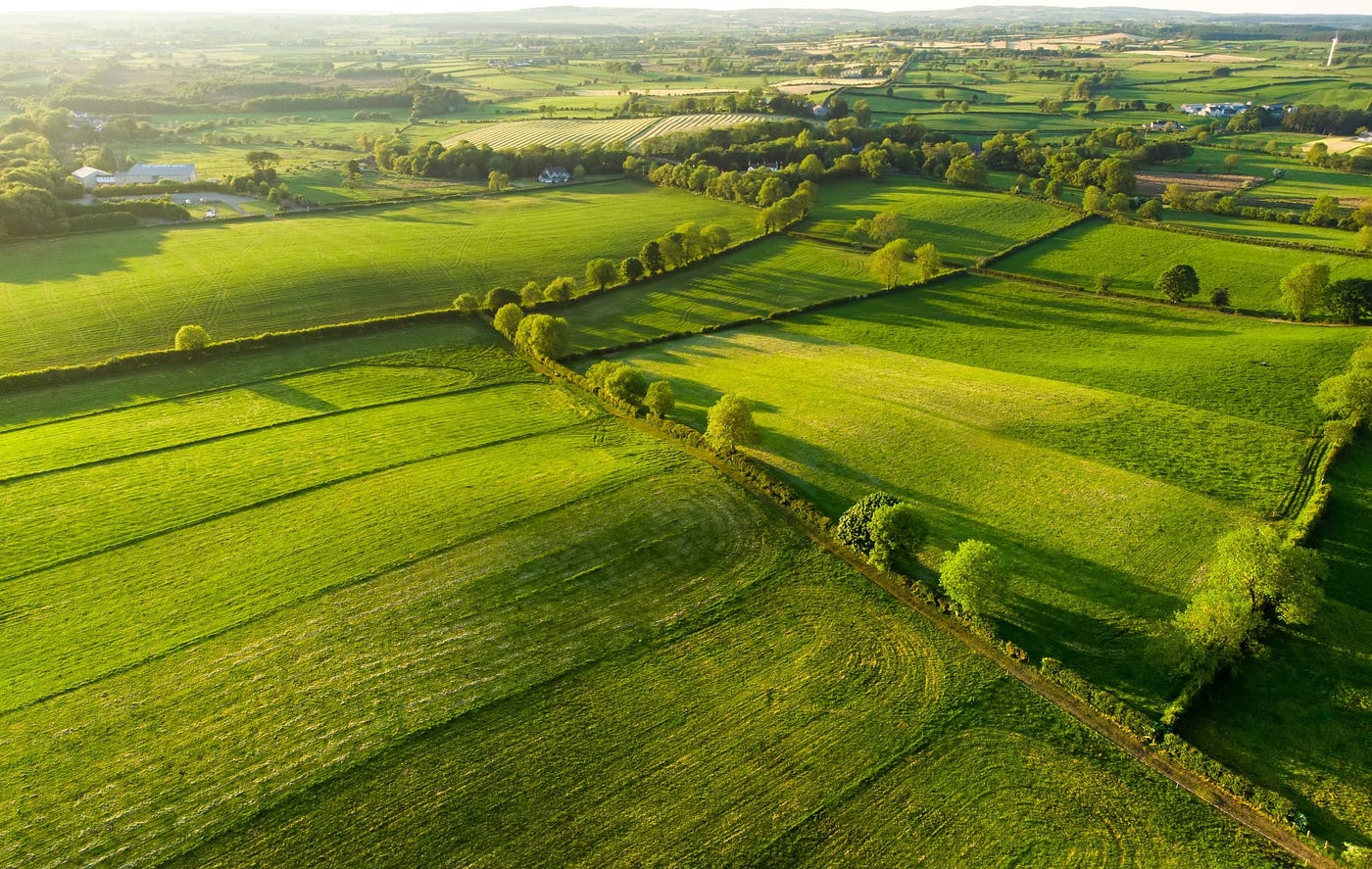 Irish Grasslands Under the Lens: How Drone Data Drives Decisions