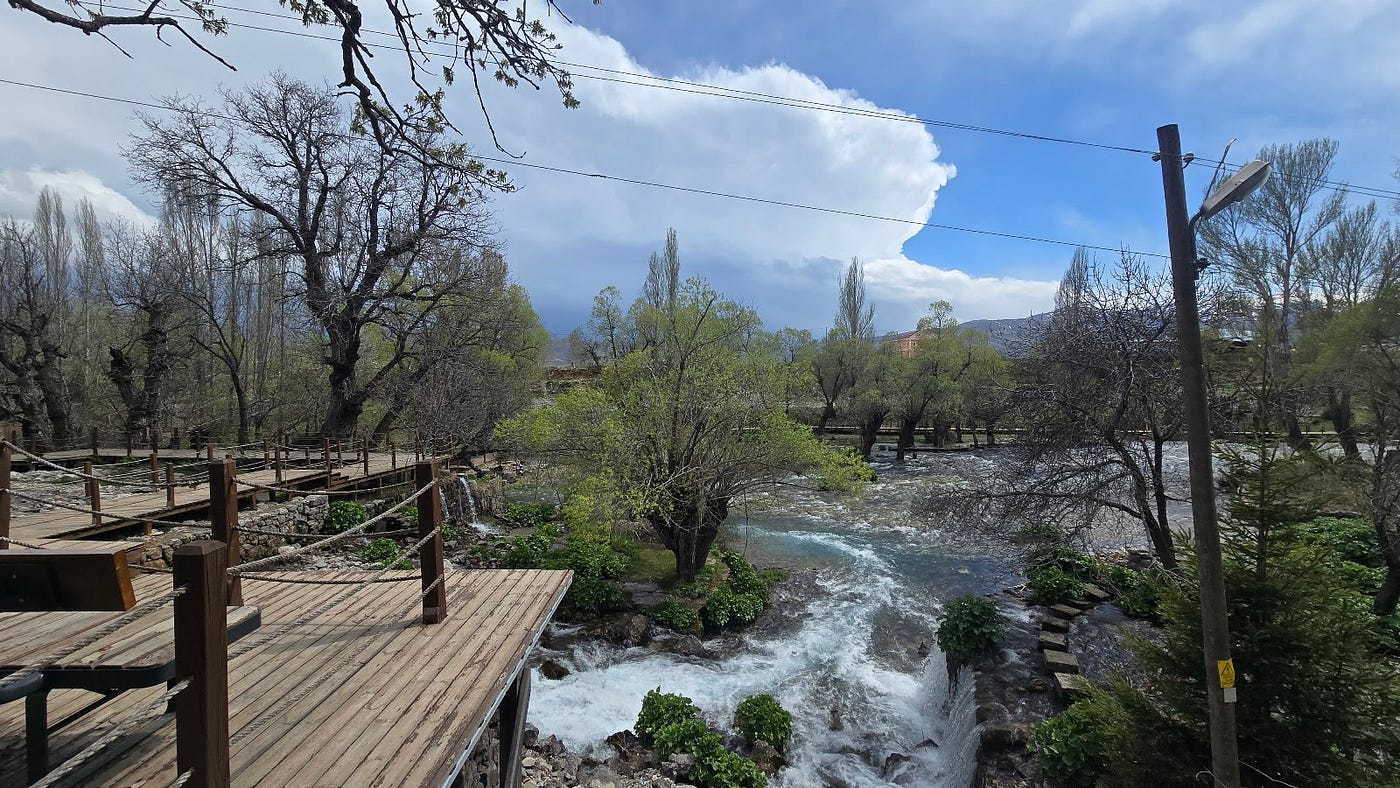 Yukarı Fıratın Gakgoşları. İnsan okuduğu bir kitabın her satırını… | by  Canan Ekinci Yılmaz (C.E.Y.) | Türkçe Yayın | May, 2025 | Medium