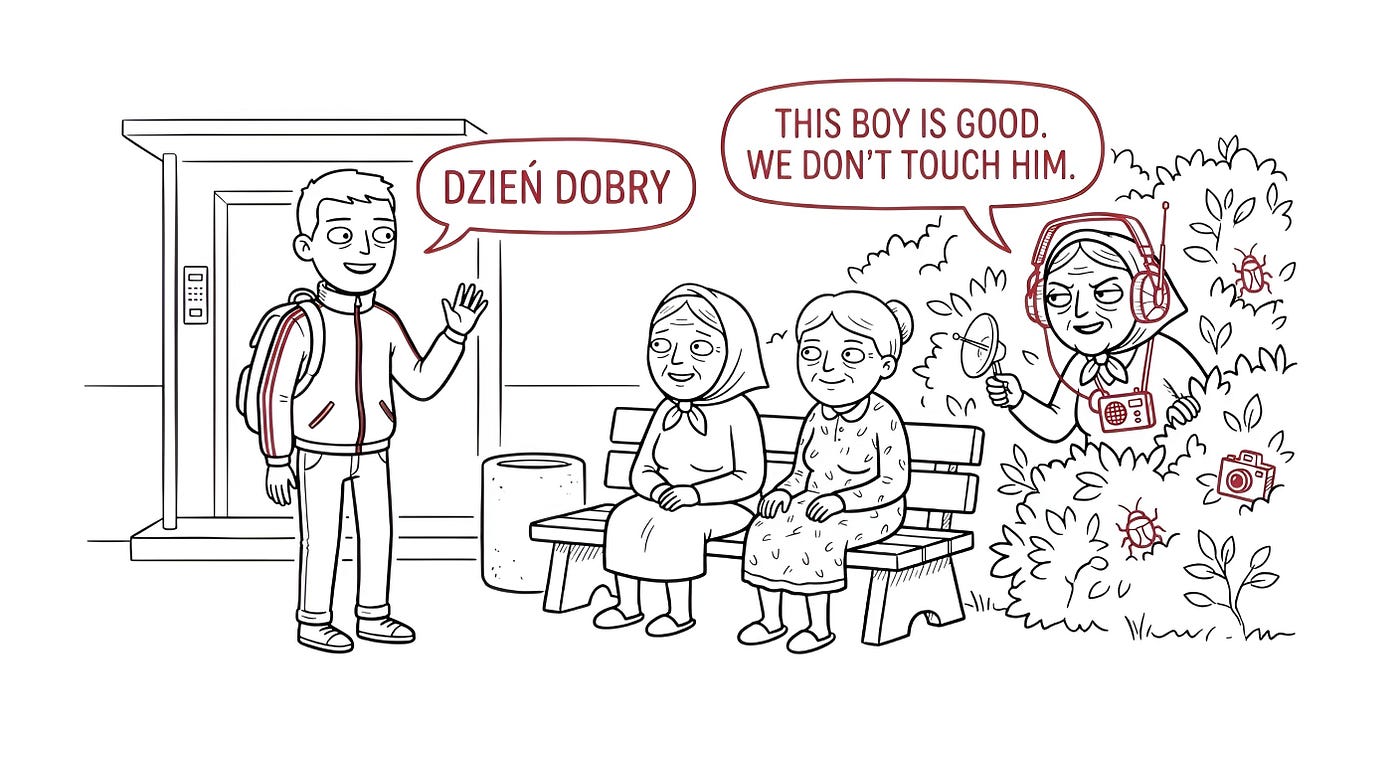Dzień Dobry: The Only Polish Phrase You Really Need