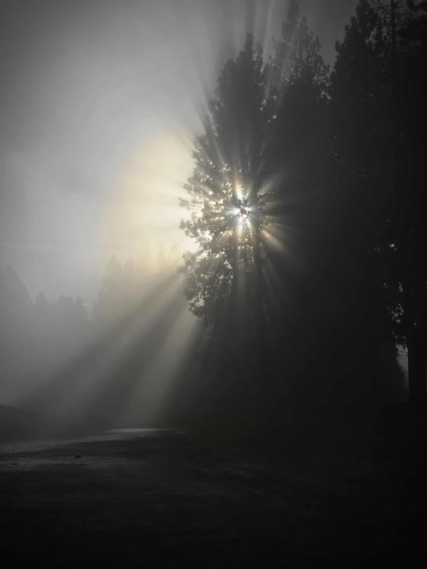 The light shall remain. Photos by author.