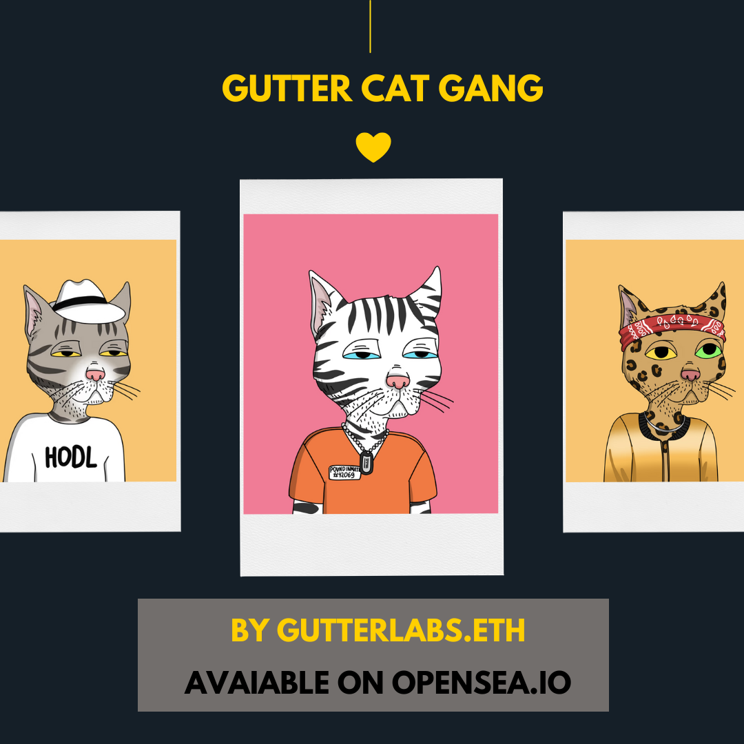 10 CATS NFTS. Feline Frenzy 10 Cat NFTs to Complete… | by NFT Addictio 🌻 |  Medium