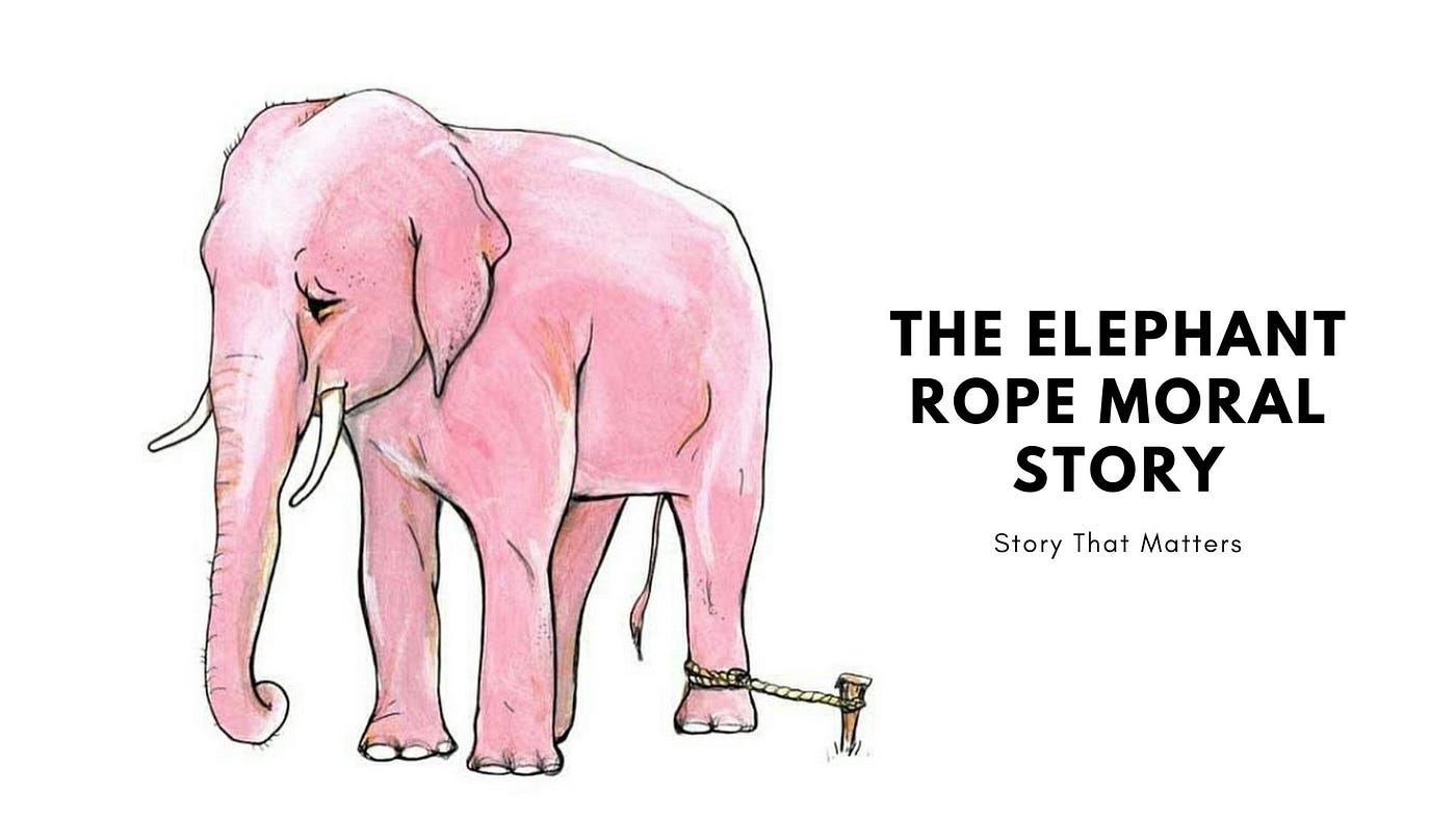 The Elephant Rope Story with Moral