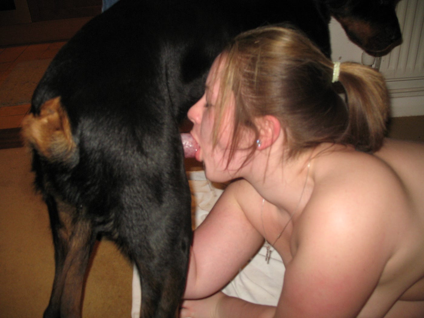 Dog sexing with woman
