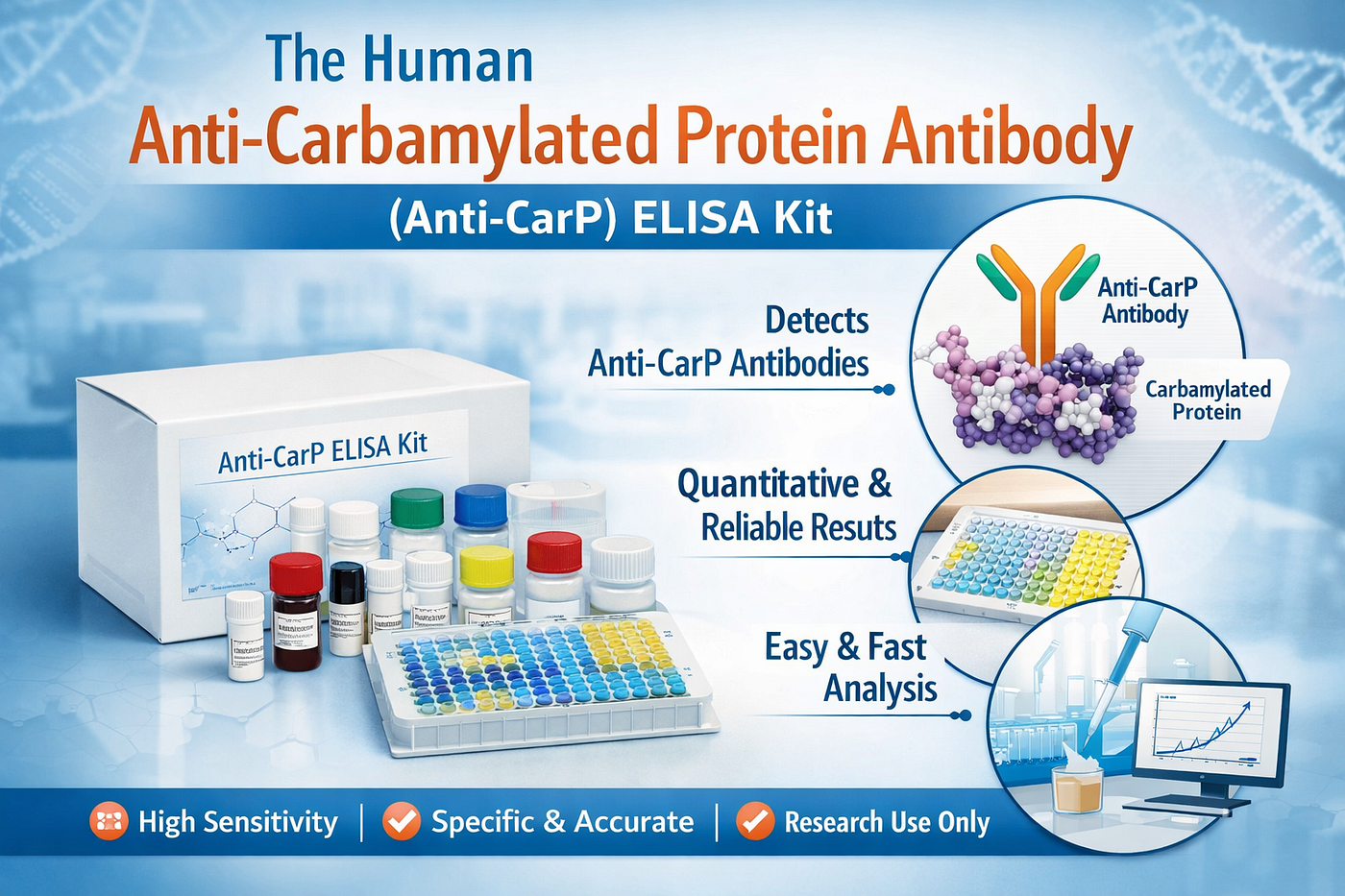 Key Applications of the Human Anti-CarP ELISA Kit in Immunology Research