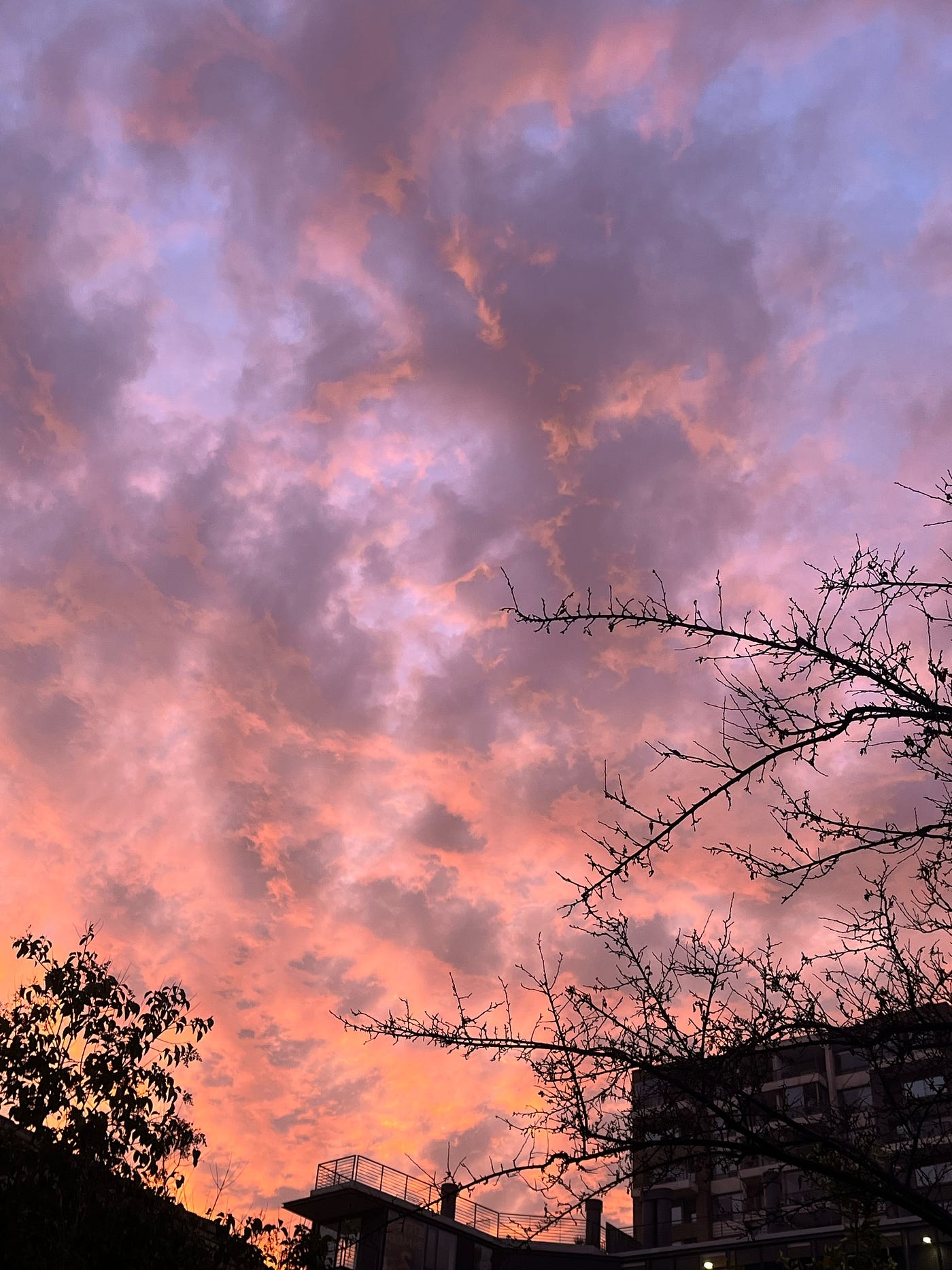 Atardecer