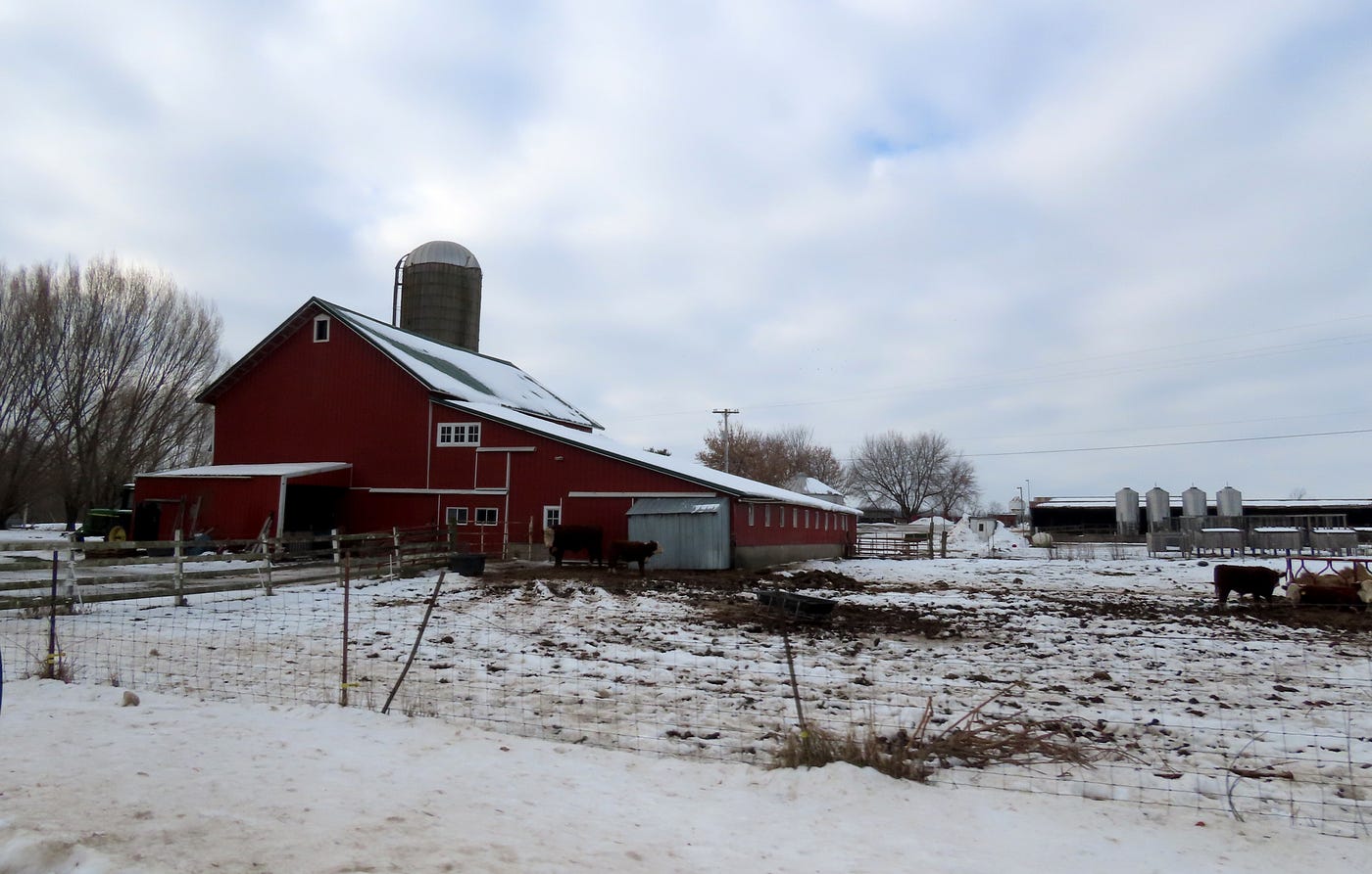 Photography by Dawn Ulmer, the author