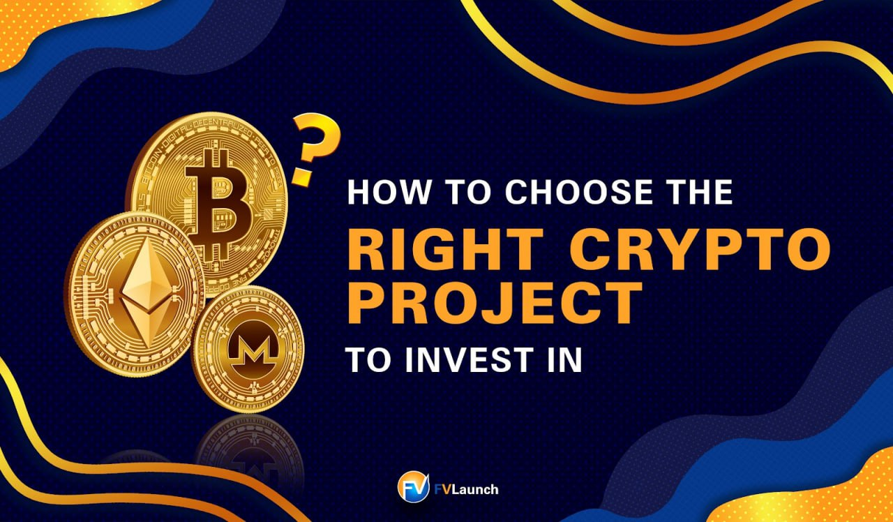 How to Choose the Right Crypto Project to Invest In | by FVLaunch | Medium
