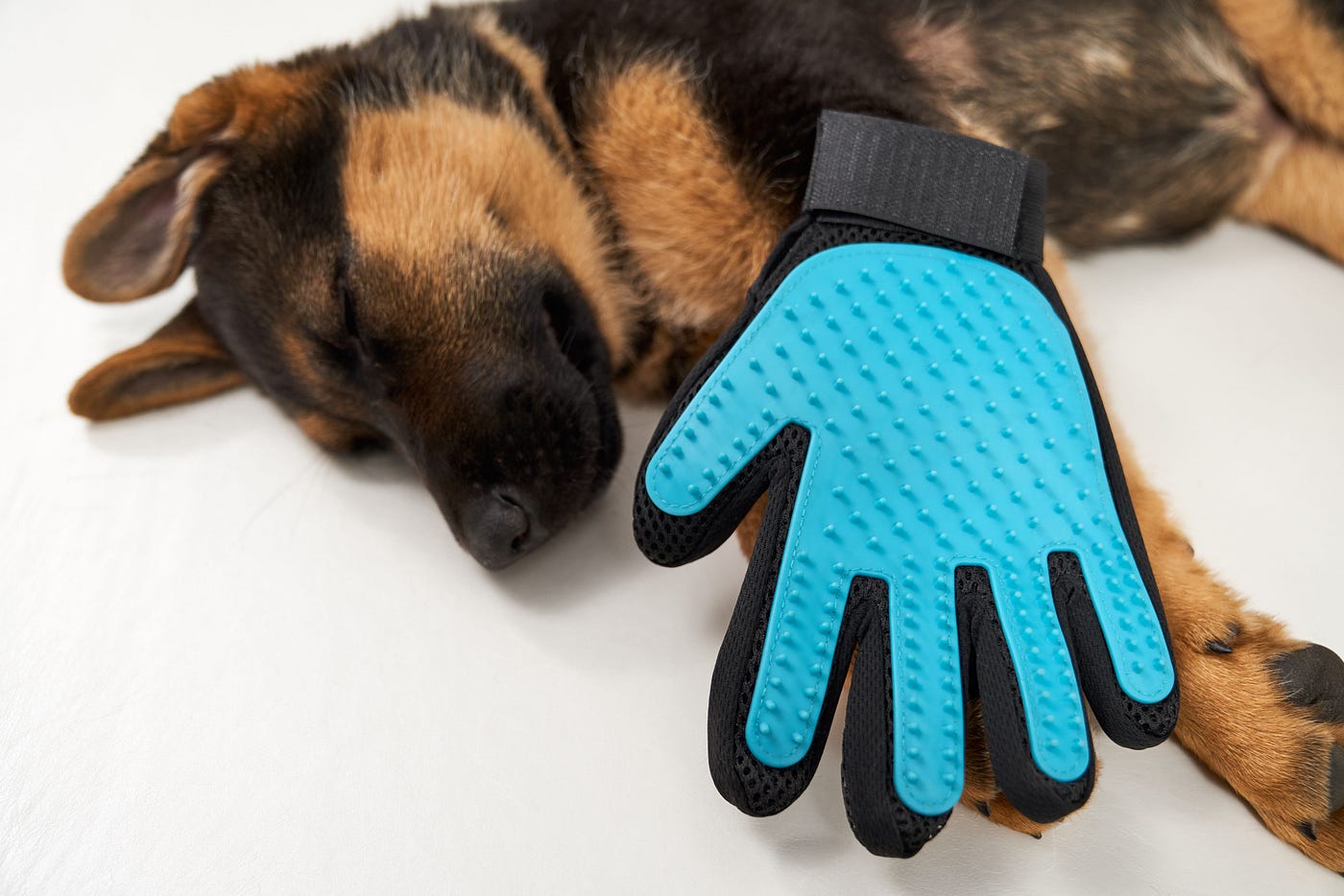How to Stop Bleeding Dog Paw Pad? Step-by-Step Guide