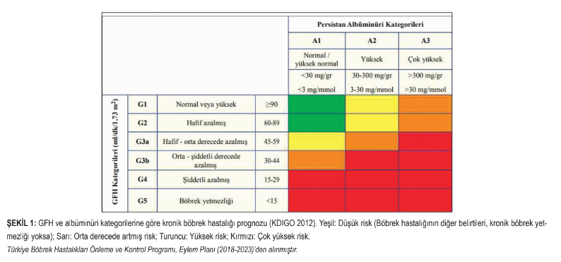 Birinci Basamakta Kreatinin Yüksekliğine Yaklaşım | by drseymahandan |  Hekimlik Sanatı | Medium