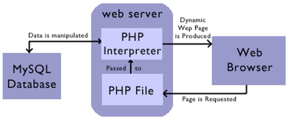 Db php html. Php интерпретатор. интерпретатор php архитектура. php mysql. структура php.
